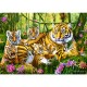 Rodzina tygrysów 37350