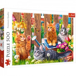 Kotki w ogrodzie 37326