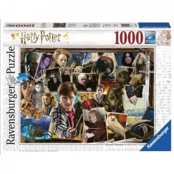 Puzzle 2D 1000 el. Harry Potter - Bohaterowie