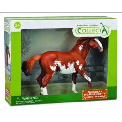 DANTE COLLECTA KON MUSTANG